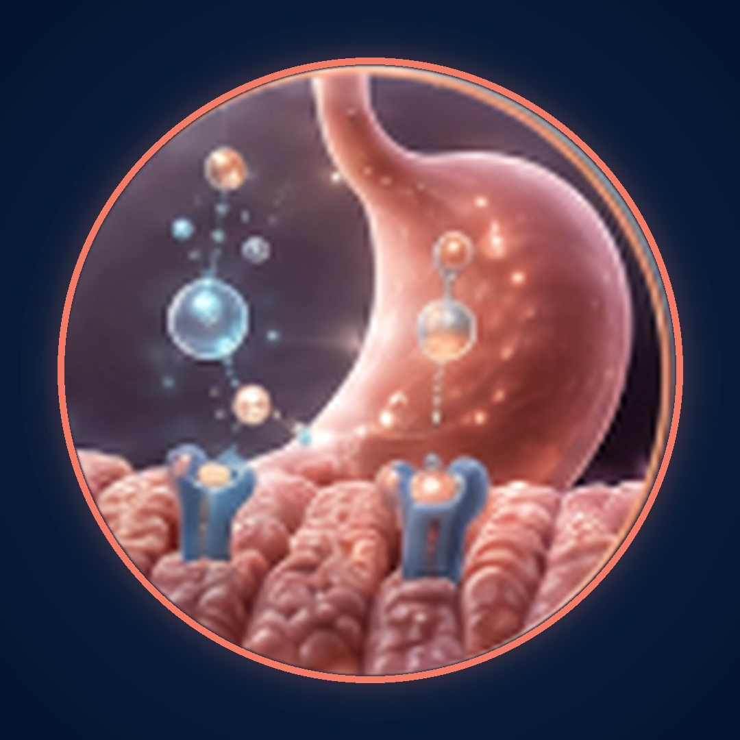 Regulación de apetito e intestino